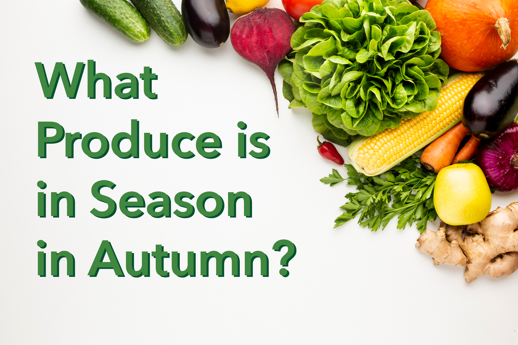 What Produce is in Season in Autumn? – Eco Friendly Supplies