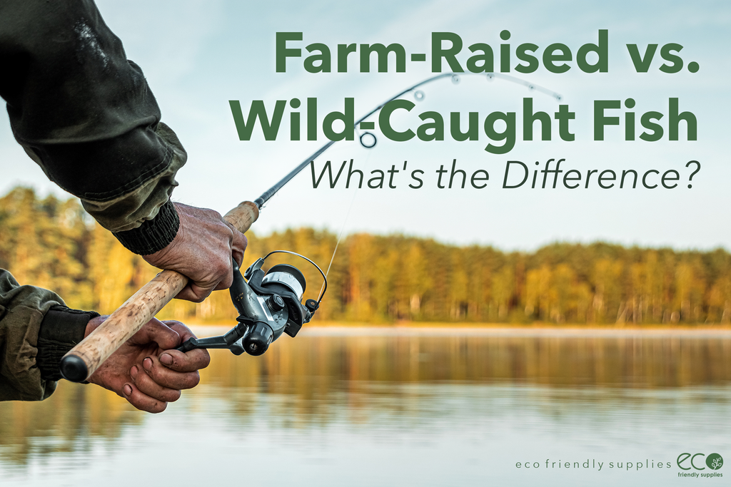 Farmraised vs. Wildcaught Fish Eco Friendly Supplies
